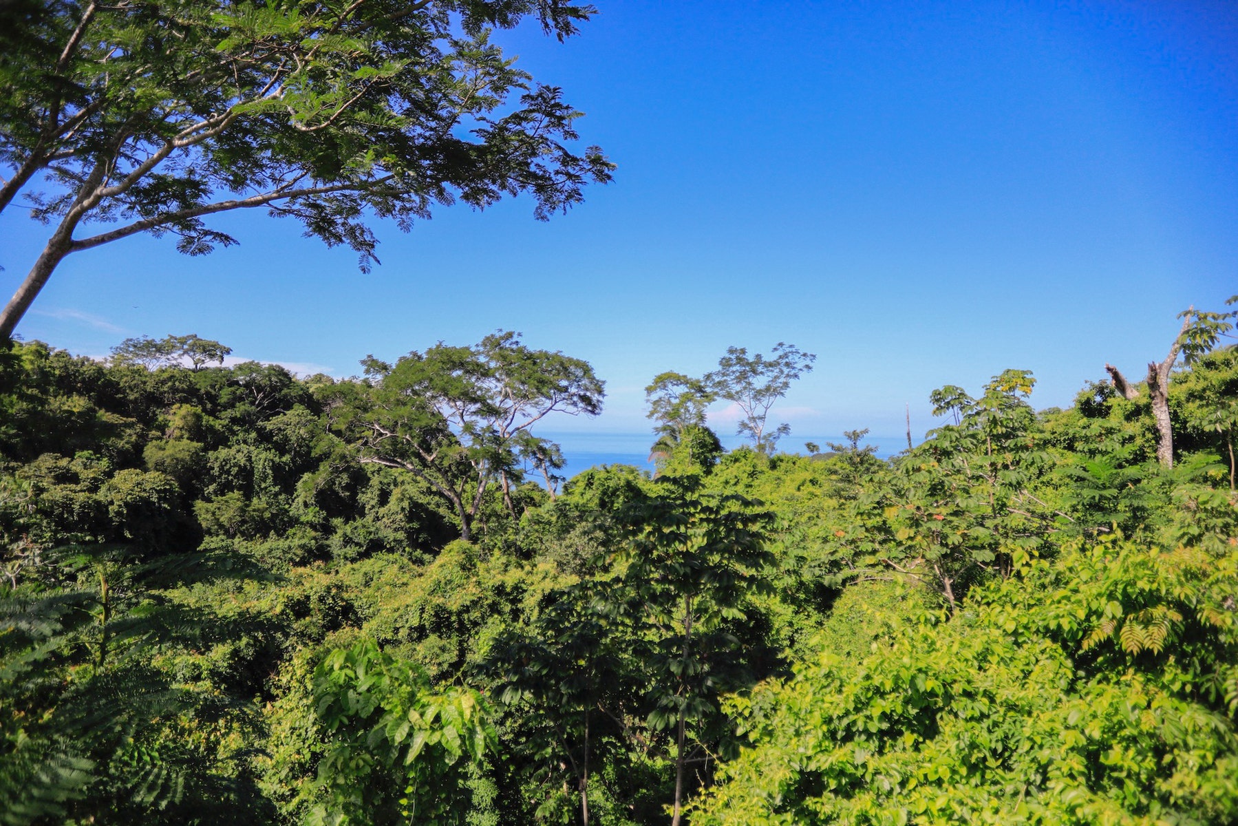 Family Dream Home with Beautiful Ocean Views, The Ark, Santa Teresa, Cobano, Puntarenas, Puntarenas, Costa Rica 60111