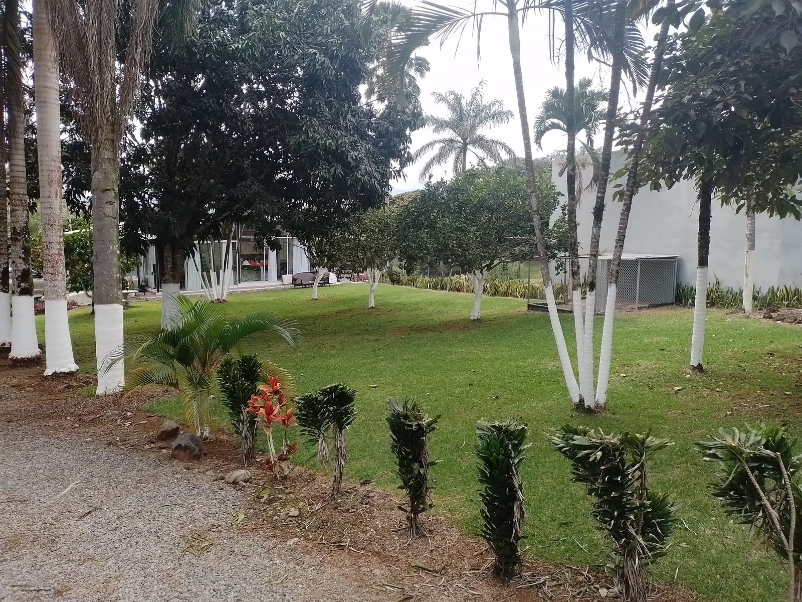 Modern Family Home — foto 7 de 19
