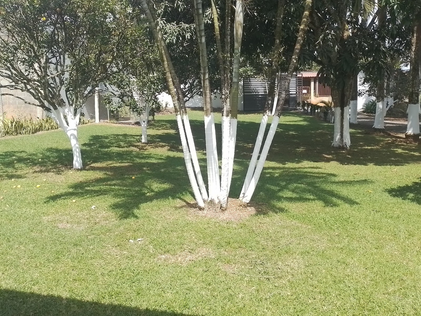 Modern Family Home — foto 11 de 19