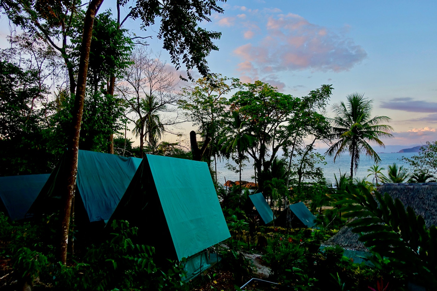 Secluded Beachfront Tent Resort, Drake Bay, Osa Peninsula — photo 4 of 19