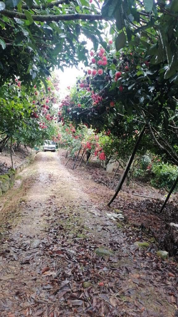 Small Producing Farm with Spring and Stream — photo 2 of 6