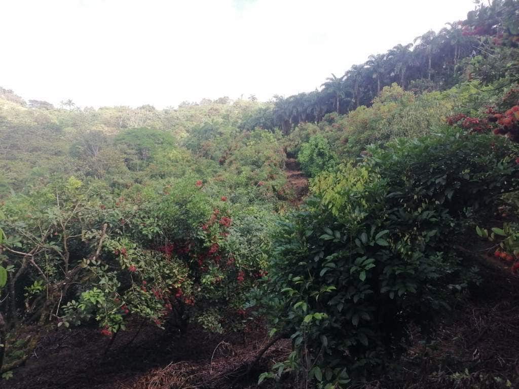 Small Producing Farm with Spring and Stream — photo 3 of 6