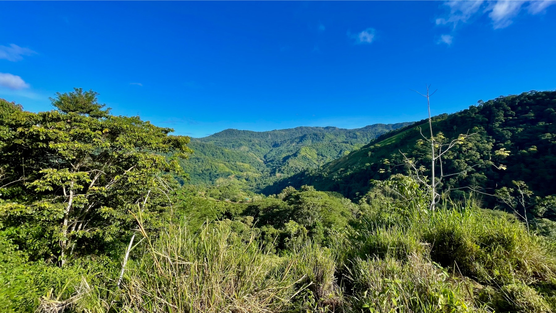 Multipurpose Farm in San Josesito — photo 11 of 18