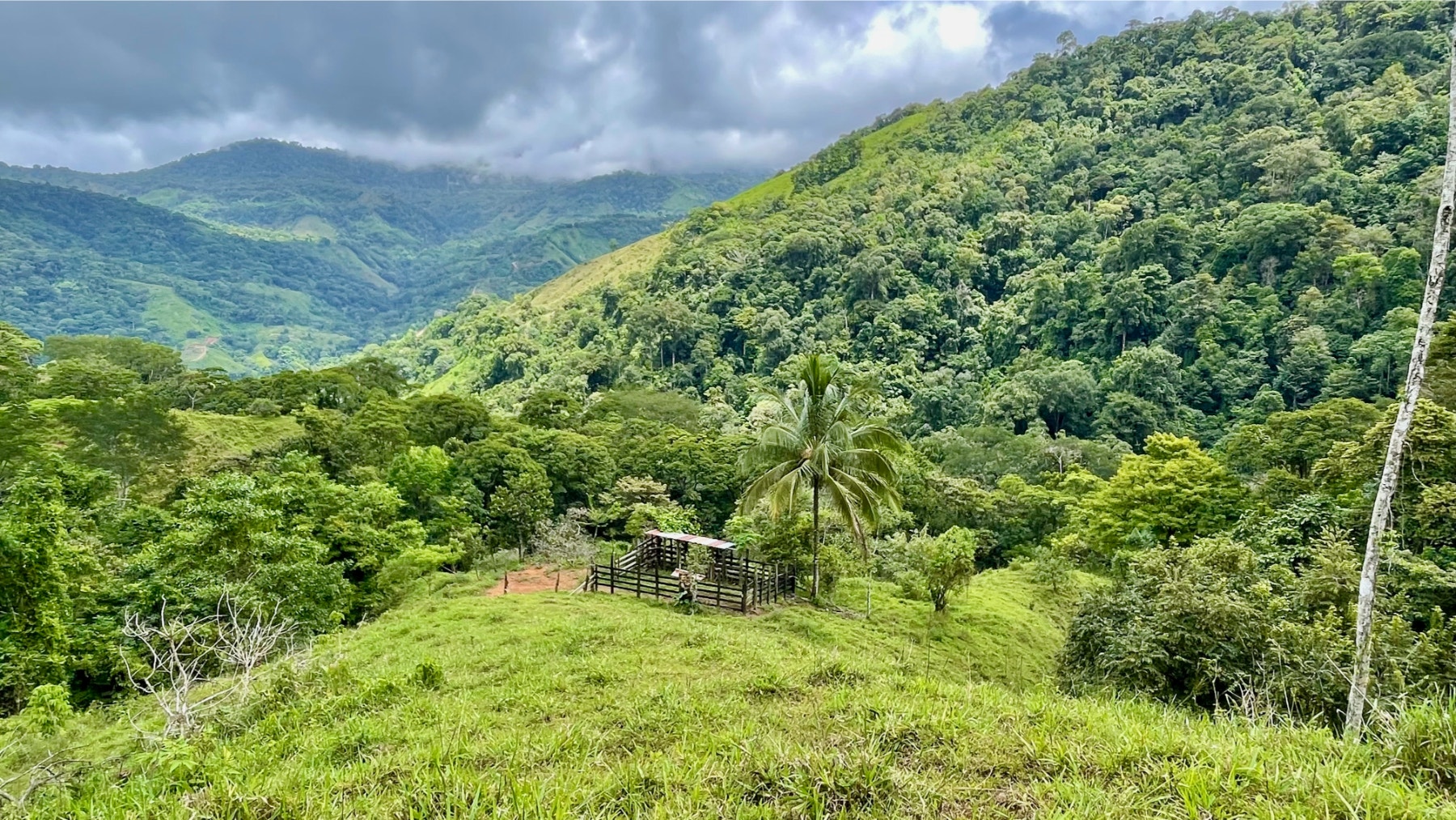 Multipurpose Farm in San Josesito — photo 2 of 18