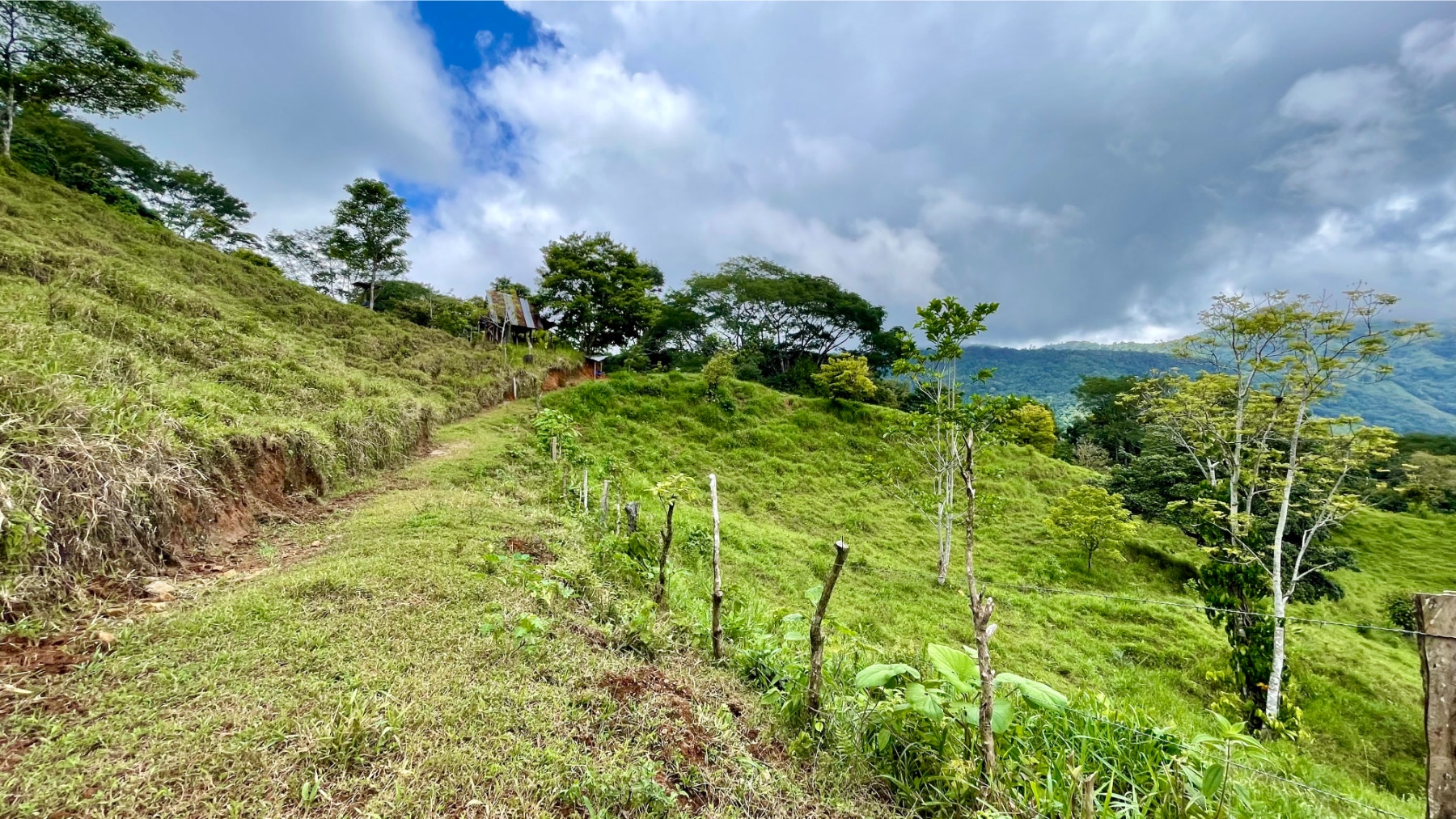 Multipurpose Farm in San Josesito — photo 12 of 18