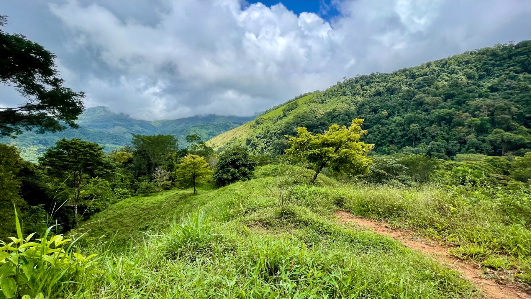 Multipurpose Farm in San Josesito — photo 13 of 18