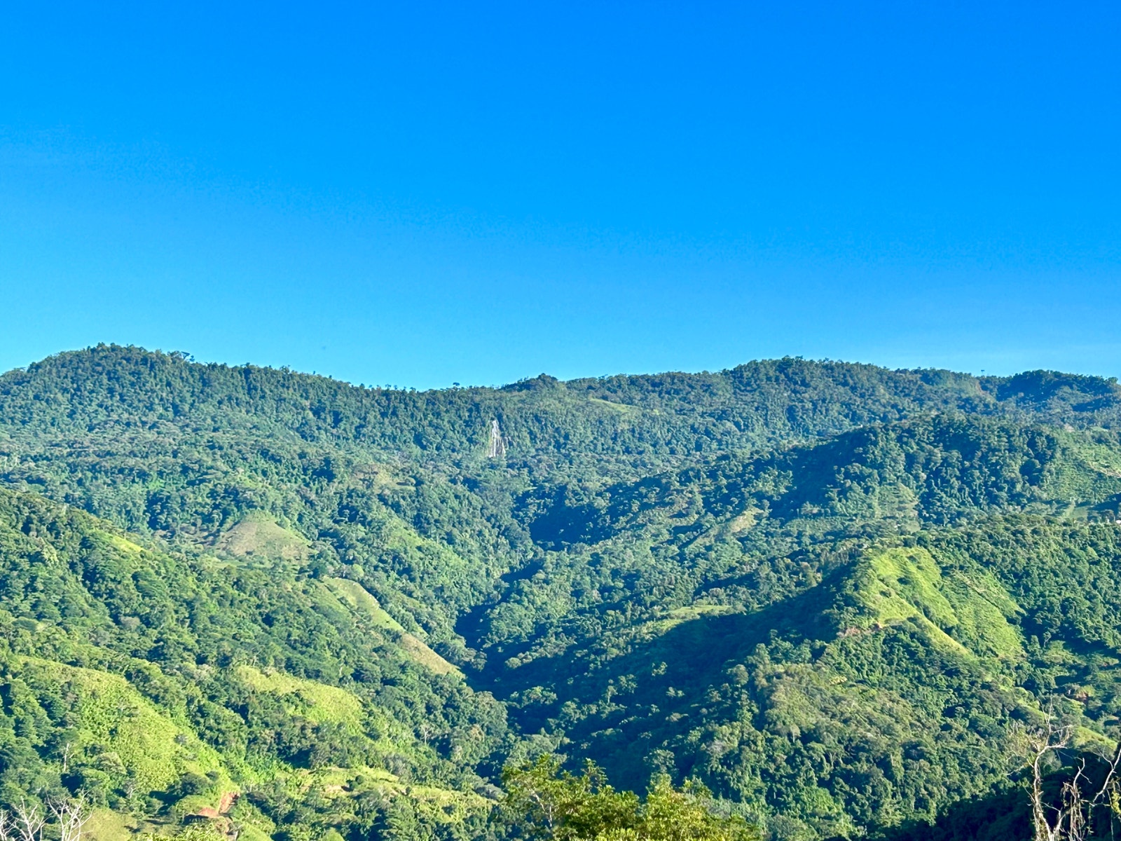 Multipurpose Farm in San Josesito — photo 9 of 18