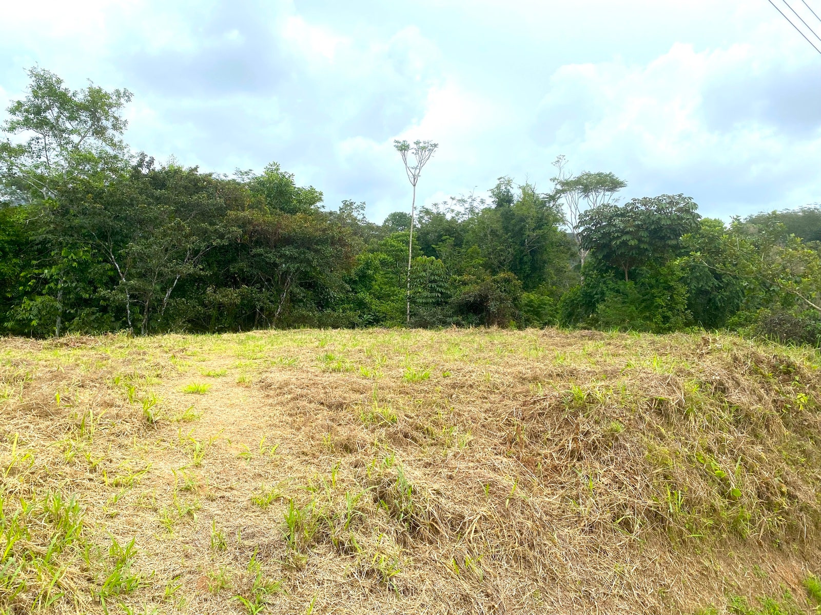Affordable Lot, Established Gated Community Chontales, Chontales, Ojochal, Puerto Cortes, Osa, Puntarenas, Costa Rica 60501
