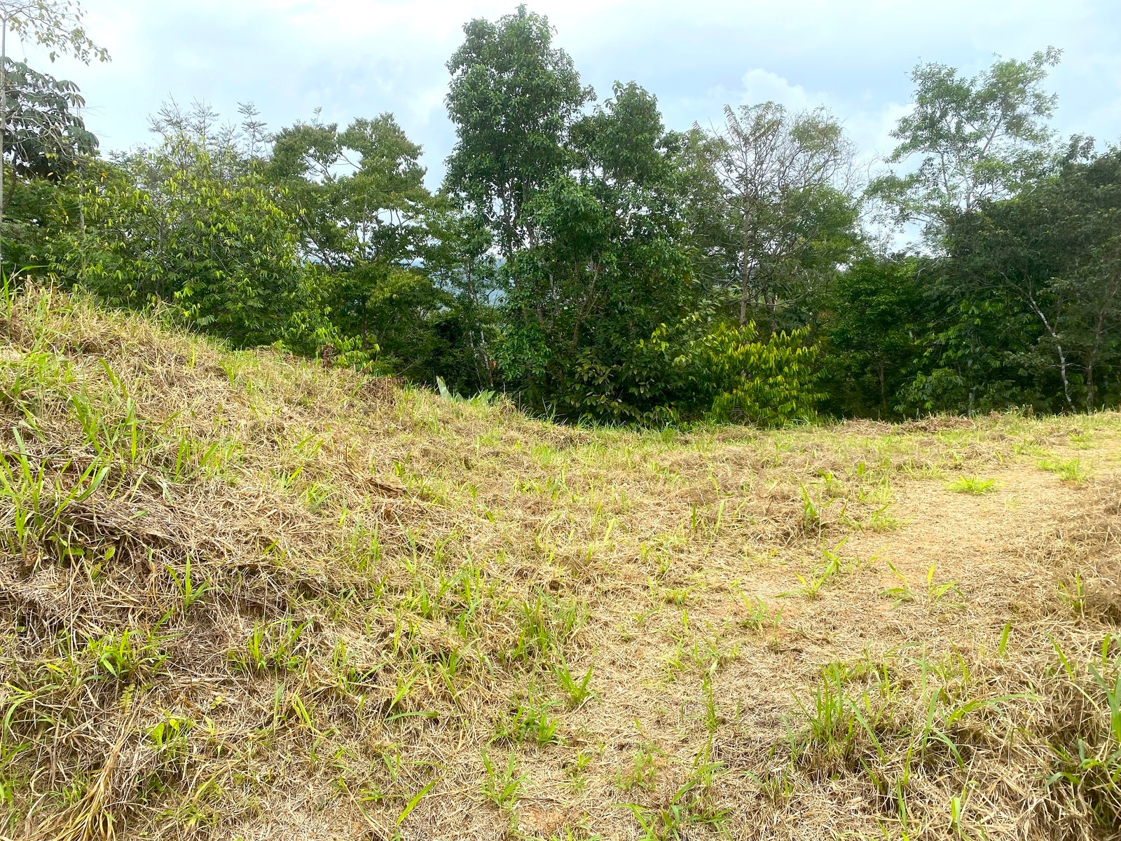 Affordable Lot, Established Gated Community Chontales — foto 2 de 6