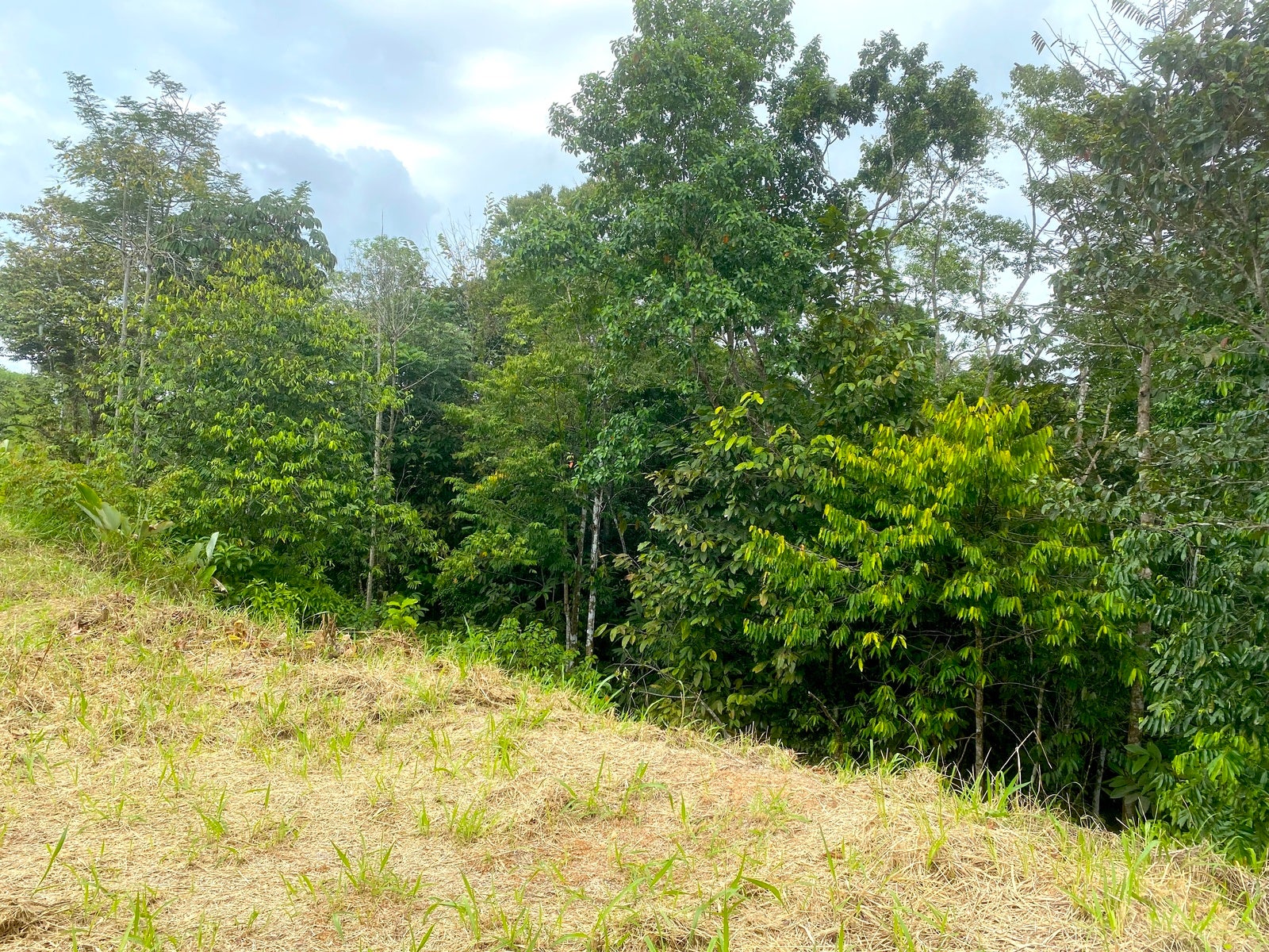 Affordable Lot, Established Gated Community Chontales — foto 3 de 6