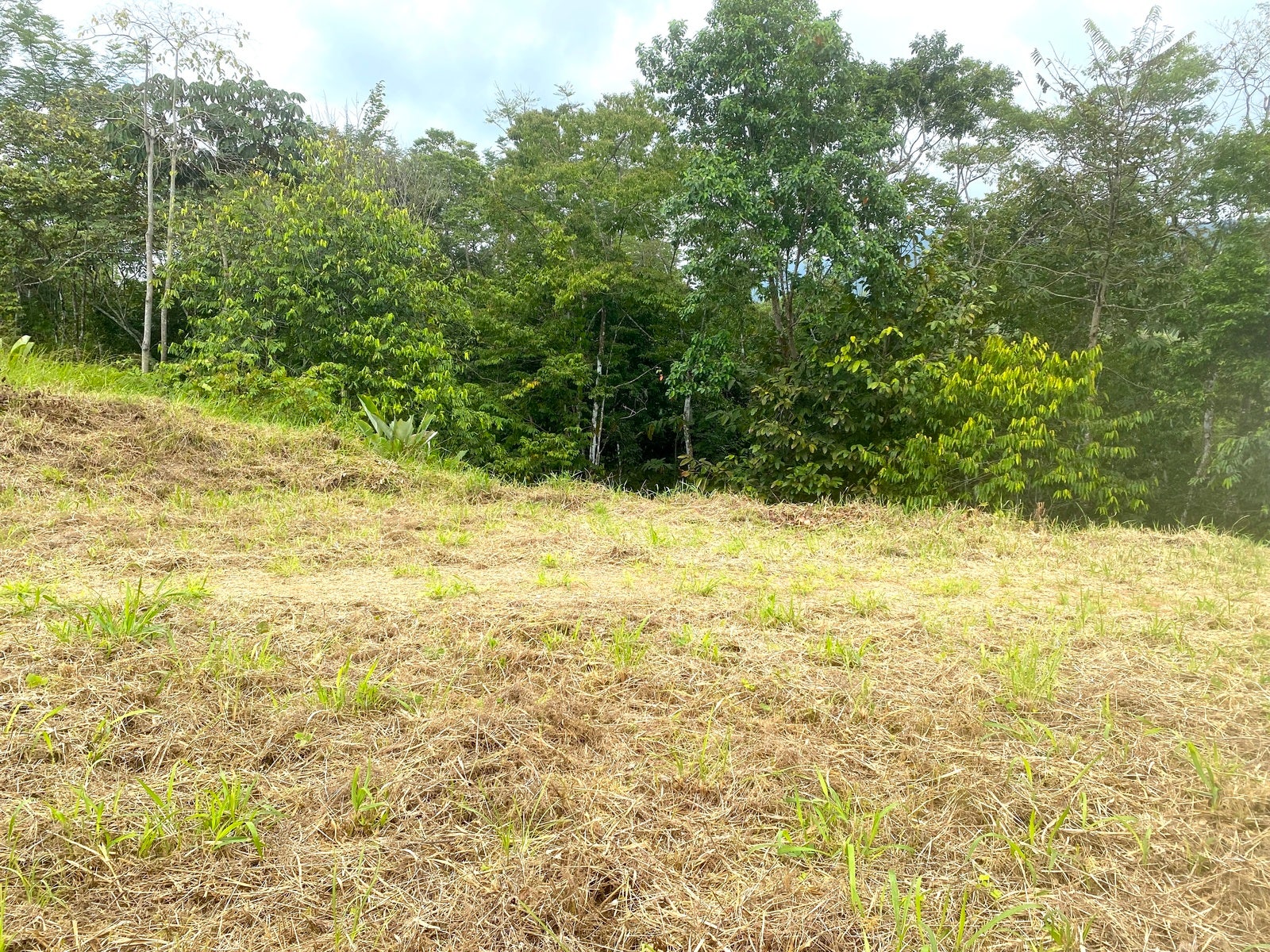 Affordable Lot, Established Gated Community Chontales — foto 4 de 6