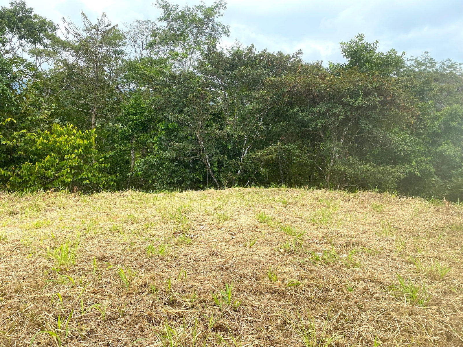 Affordable Lot, Established Gated Community Chontales — foto 5 de 6