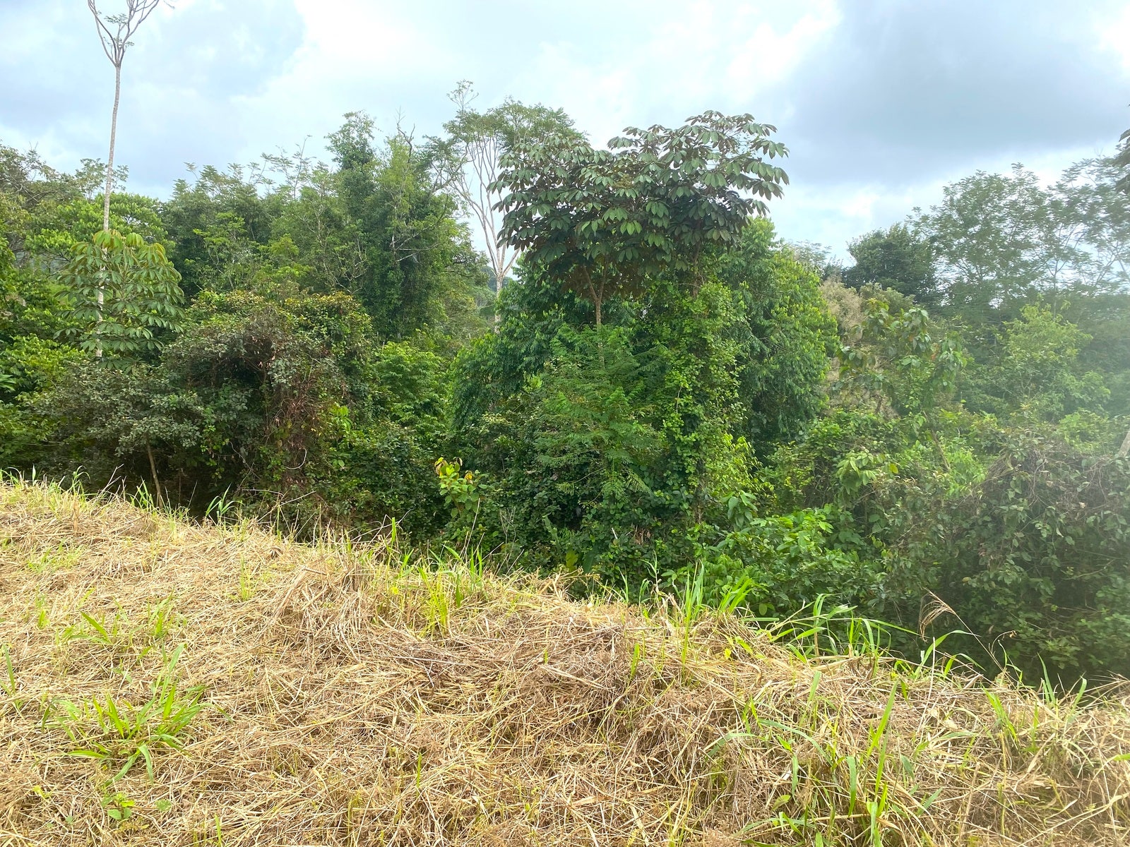 Affordable Lot, Established Gated Community Chontales — foto 6 de 6