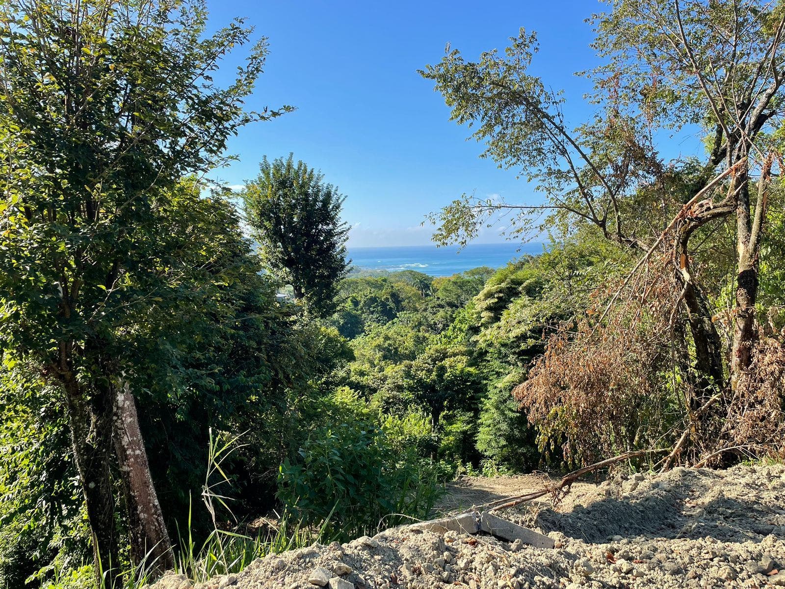 Commercially Zoned with Ocean View — photo 6 of 15