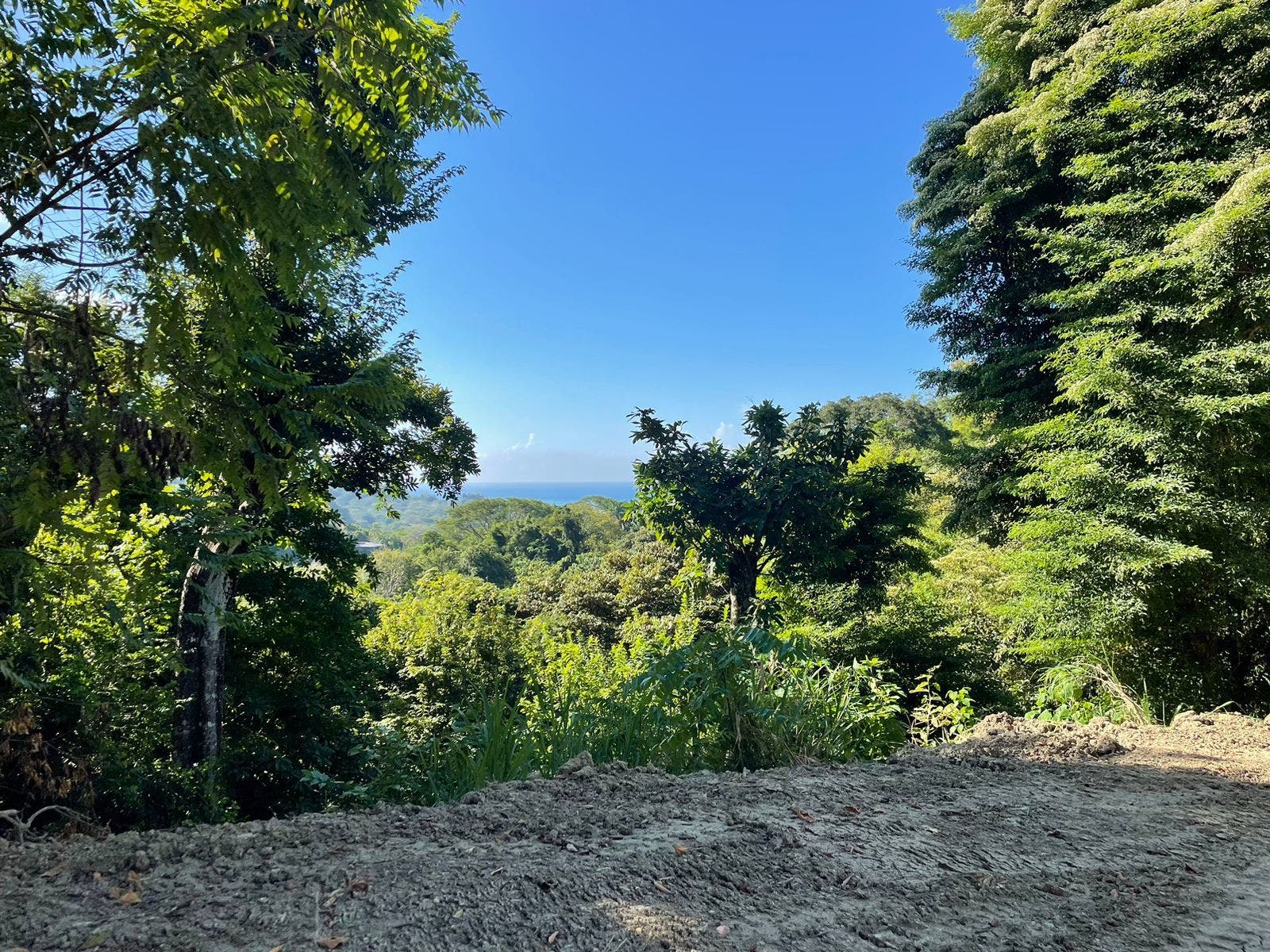 Commercially Zoned with Ocean View — photo 10 of 15