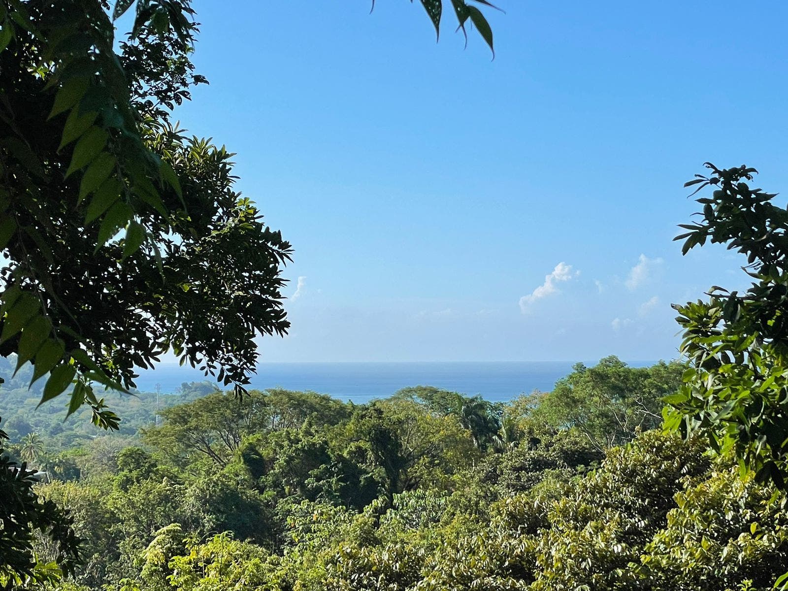 Commercially Zoned with Ocean View — photo 12 of 15