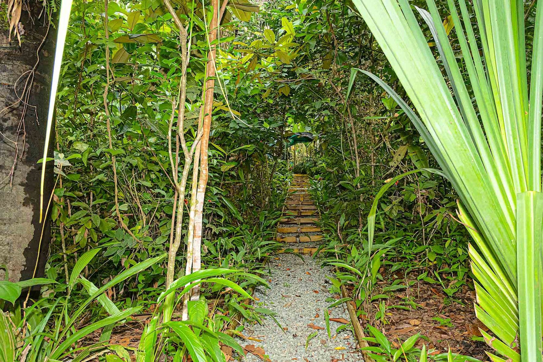 Quepos — photo 15 of 19