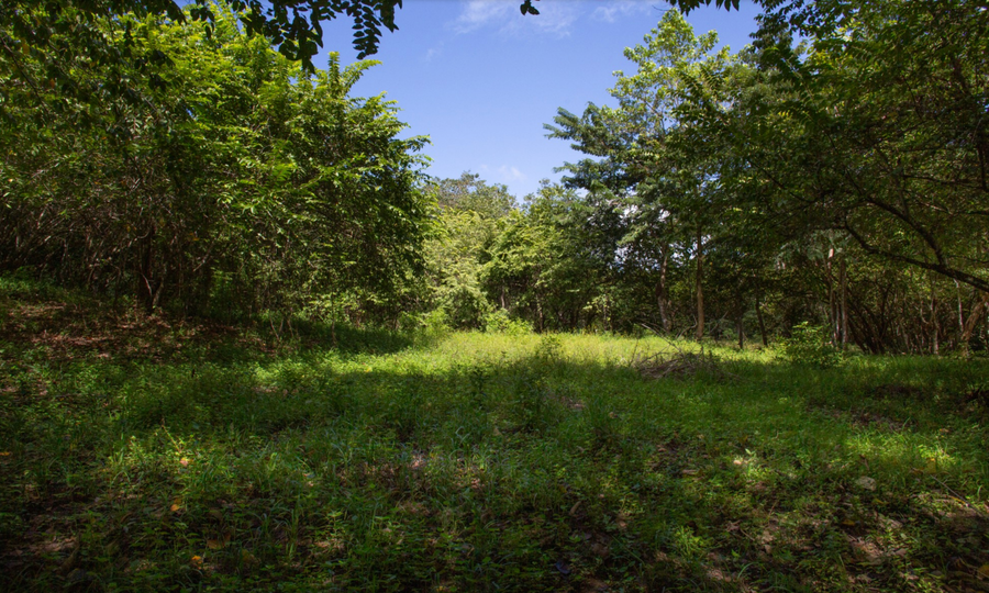 Property photo for Private hilltop farm with subdivided lots. , Manzanillo, Santa Teresa, Cobano, Puntarenas, Puntarenas, Costa Rica