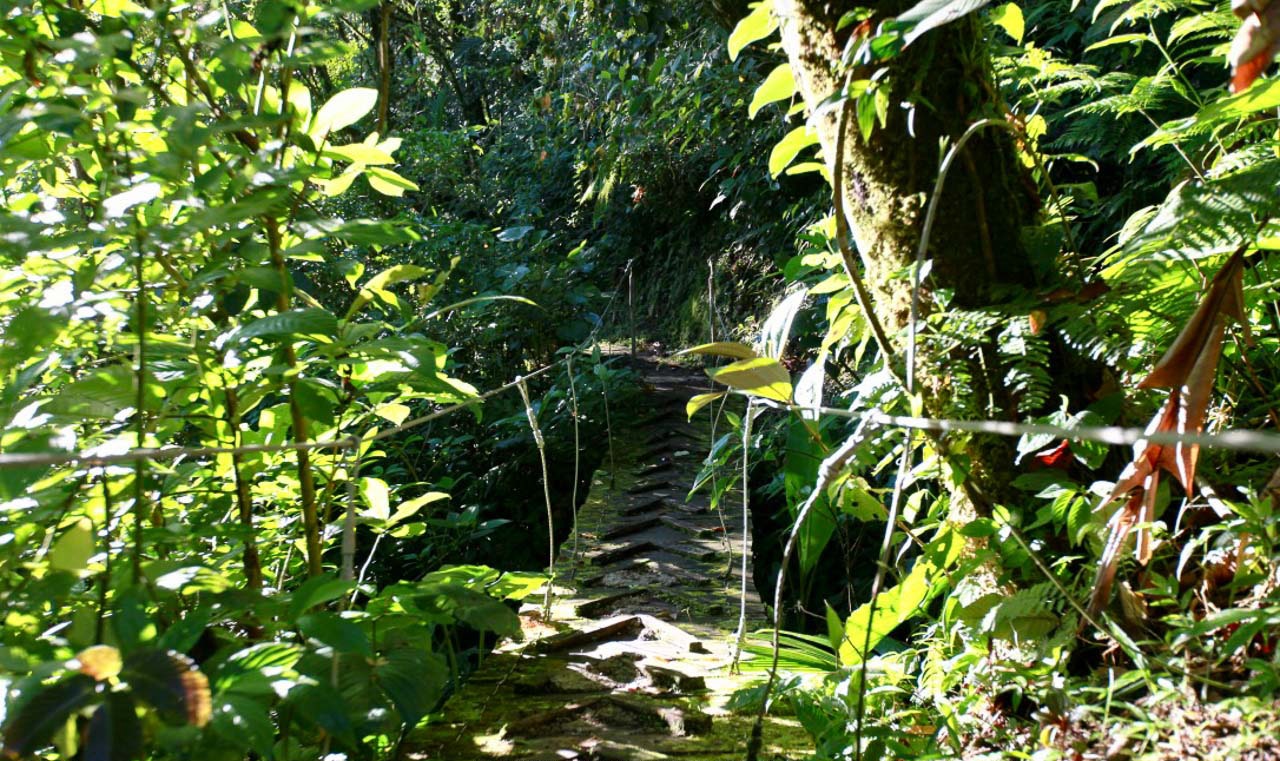 Waterfall Sanctuary with Hiking Trails — photo 4 of 4