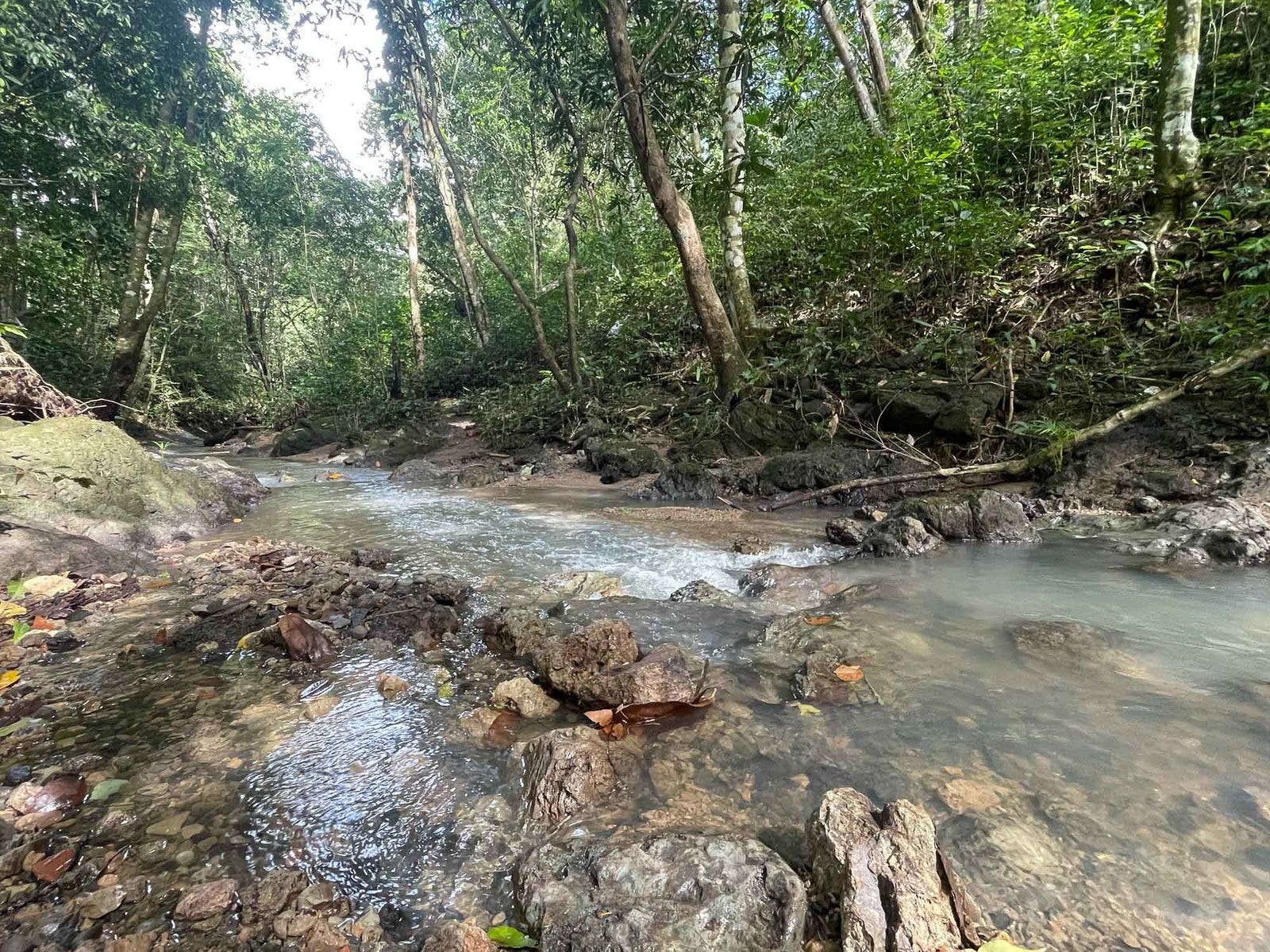 Valle Pura Vida Oasis, Valle Pura Vida, Manuel Antonio, Manuel Antonio, Quepos, Puntarenas, Costa Rica 63500 — photo 5 of 5