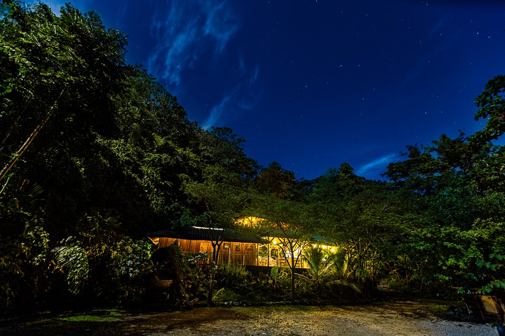 Finca Bellavista Osa, Costa Rica, Finca Bellavista, Osa, Golfito, Piedras Blancas, Osa, Puntarenas, Costa Rica 60504 — photo 5 of 5