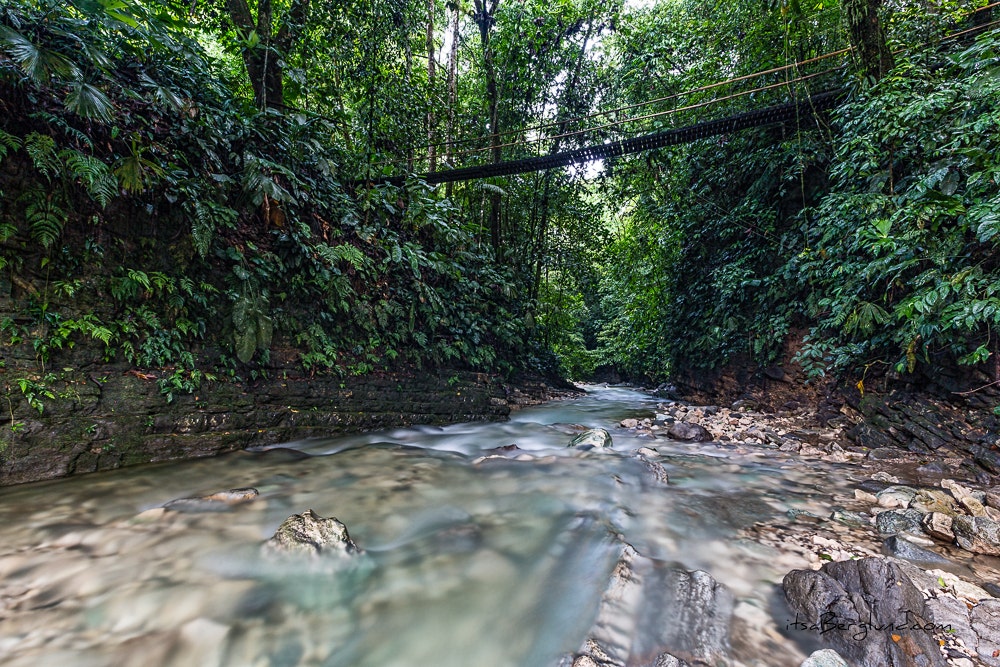 Finca Bellavista Osa, Costa Rica — photo 9 of 19