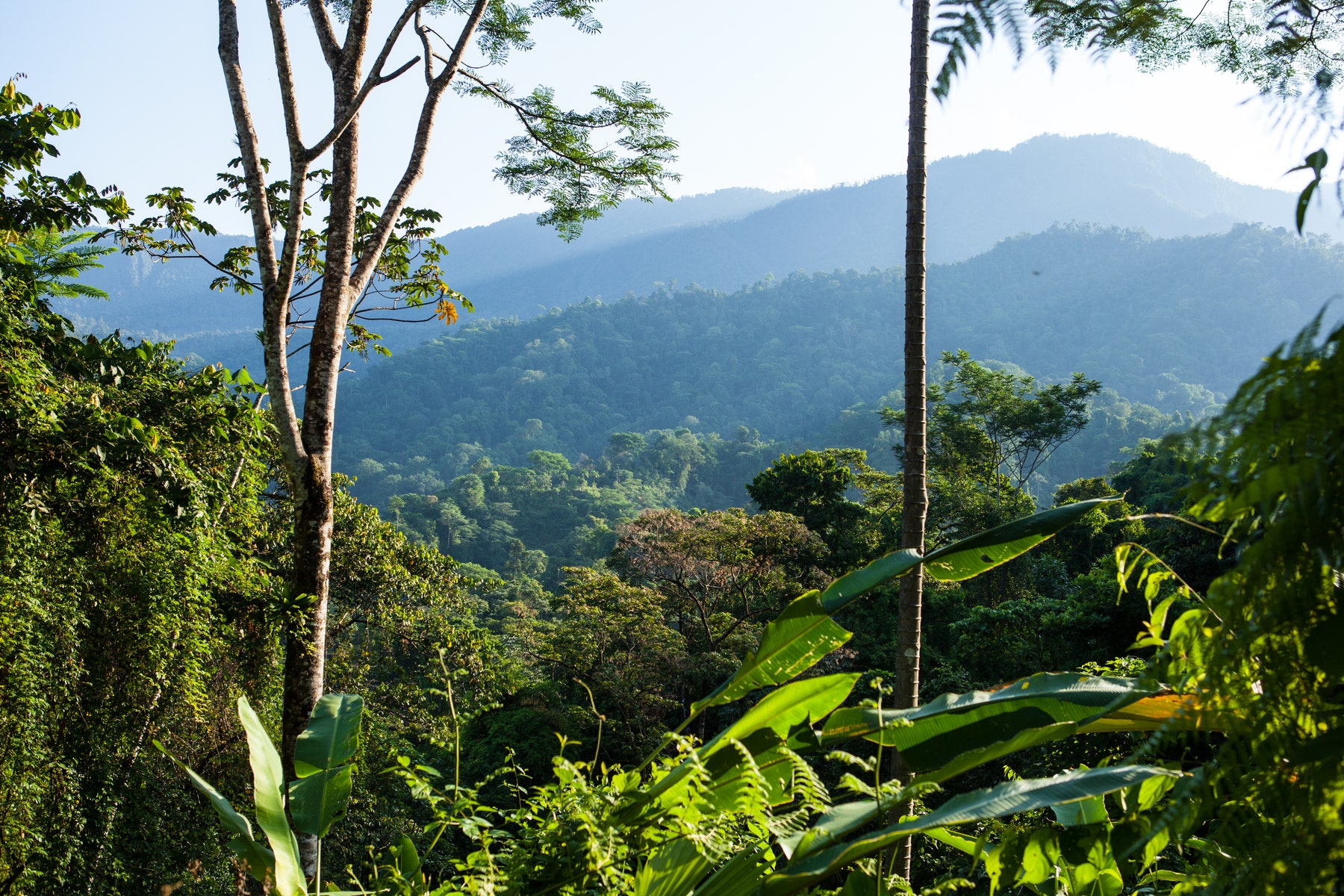 Finca Bellavista Osa, Costa Rica — photo 11 of 19