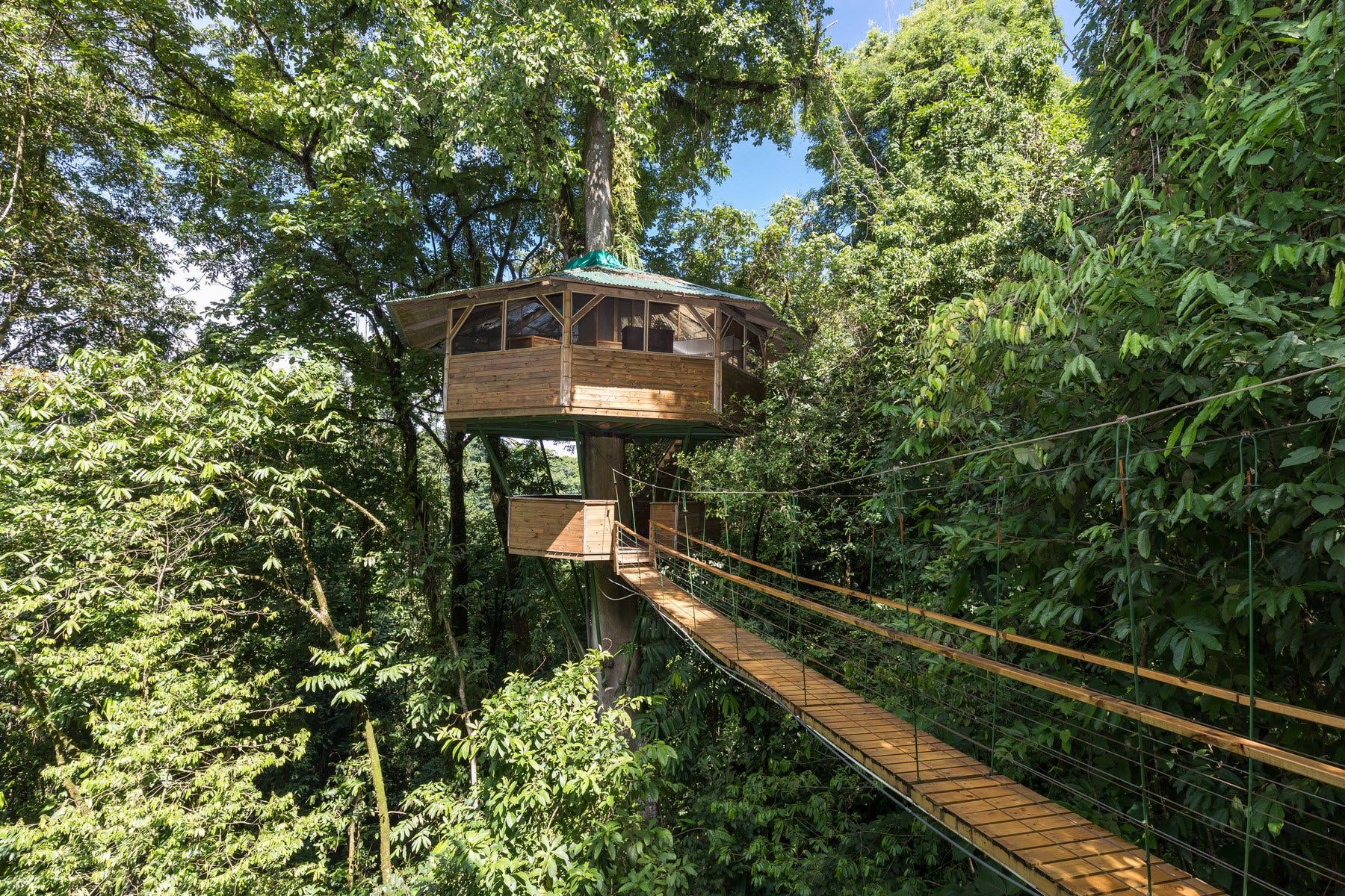 Finca Bellavista Osa, Costa Rica — photo 12 of 19