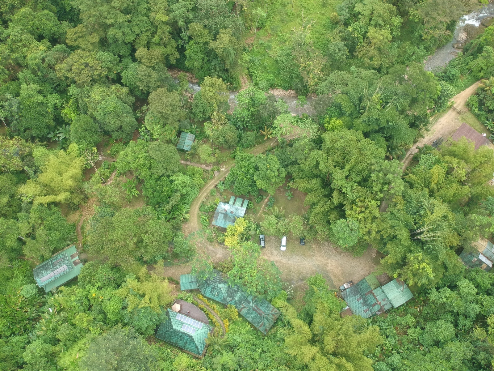 Finca Bellavista Osa, Costa Rica — photo 14 of 19