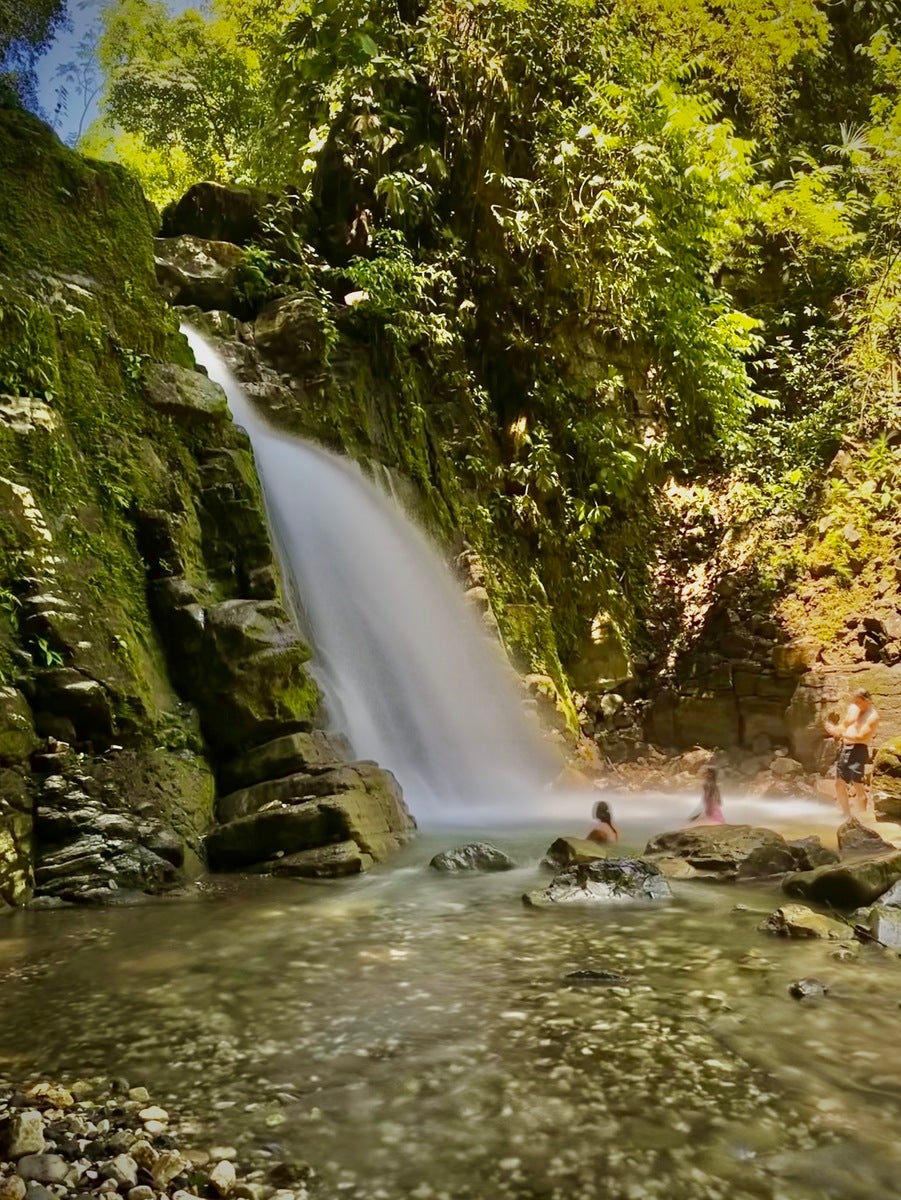 Finca Bellavista Osa, Costa Rica — photo 15 of 19