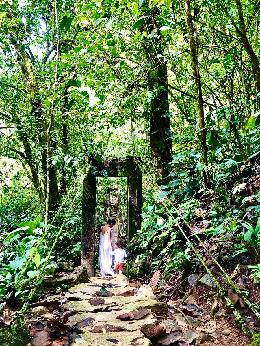 Finca Bellavista Osa, Costa Rica — photo 17 of 19