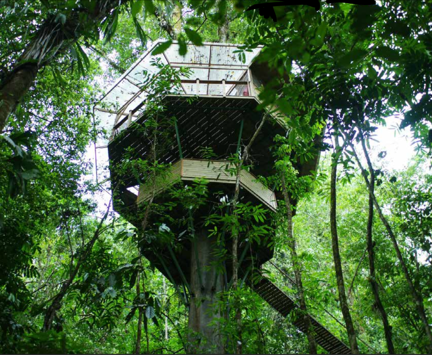 Finca Bellavista Osa, Costa Rica — photo 19 of 19