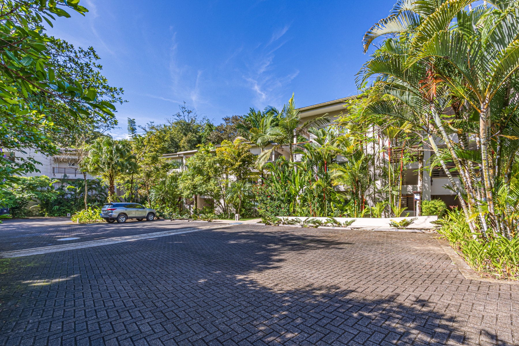 Prime Location Luxury Condo — foto 18 de 19