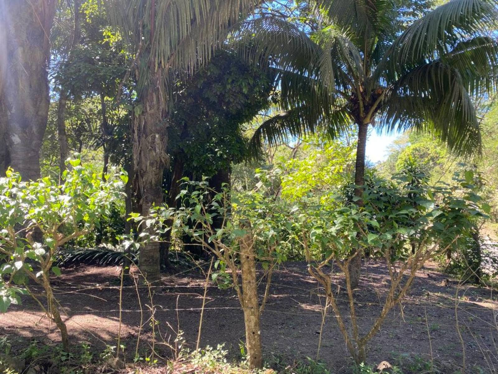 Two Lot Opportunity, Playa Carmen, Playa Carmen, Santa Teresa, Cobano, Puntarenas, Costa Rica 60111
