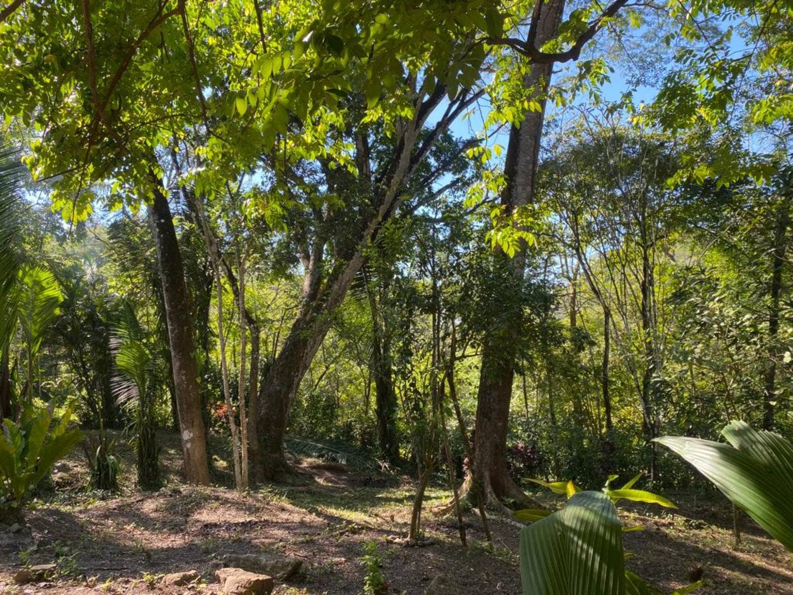 Two Lot Opportunity, Playa Carmen, Playa Carmen, Santa Teresa, Cobano, Puntarenas, Costa Rica 60111