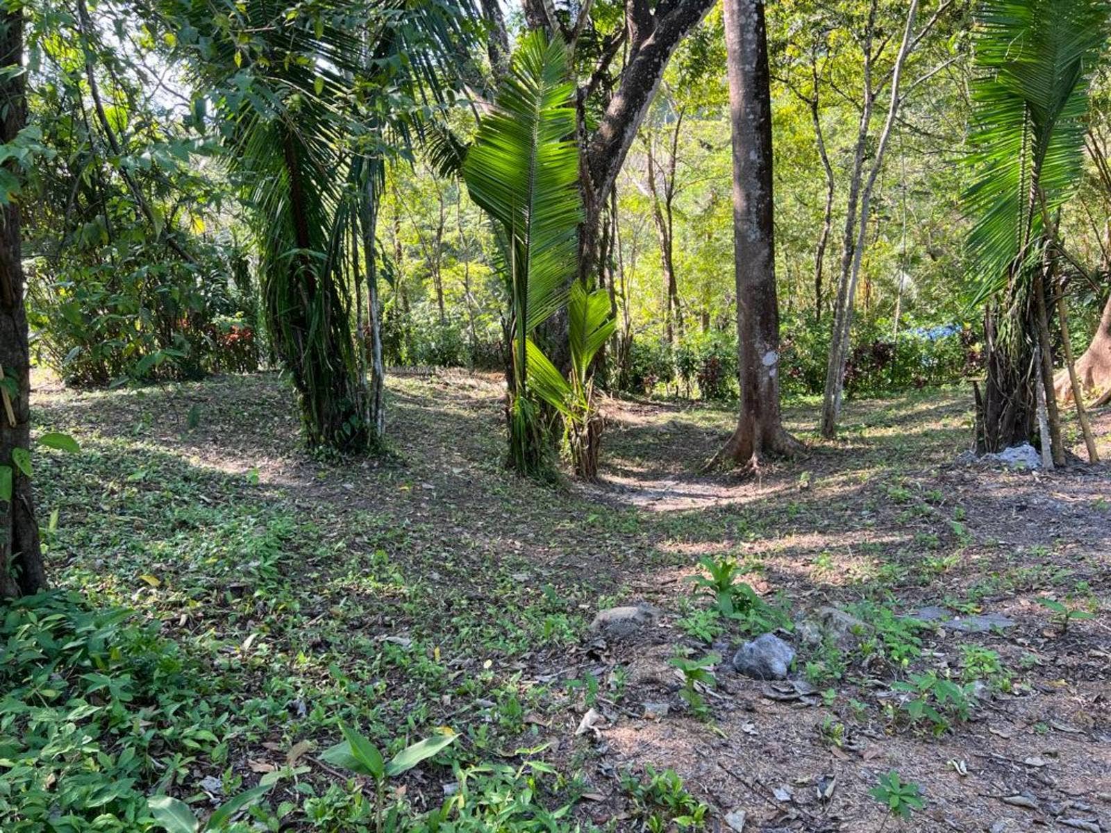 Two Lot Opportunity, Playa Carmen, Playa Carmen, Santa Teresa, Cobano, Puntarenas, Costa Rica 60111