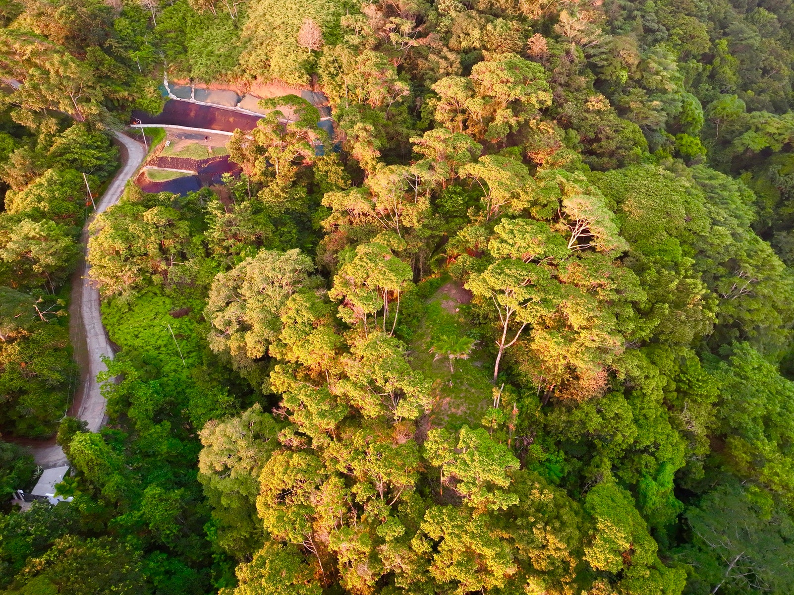 Luxury Ocean View Property in Costa Verde Estates — photo 10 of 19
