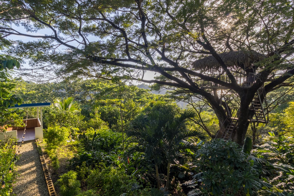 Five Bedroom House With a Large Green Area in Santiago Playa Hermosa — photo 5 of 18
