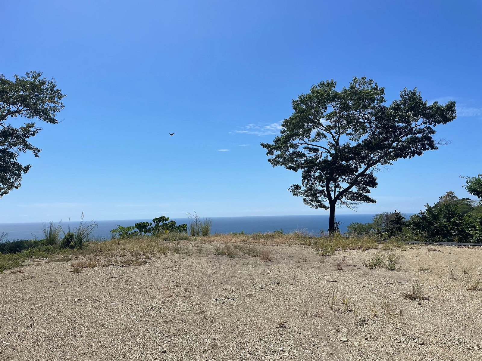 A Plus Ocean View Lot — photo 7 of 7