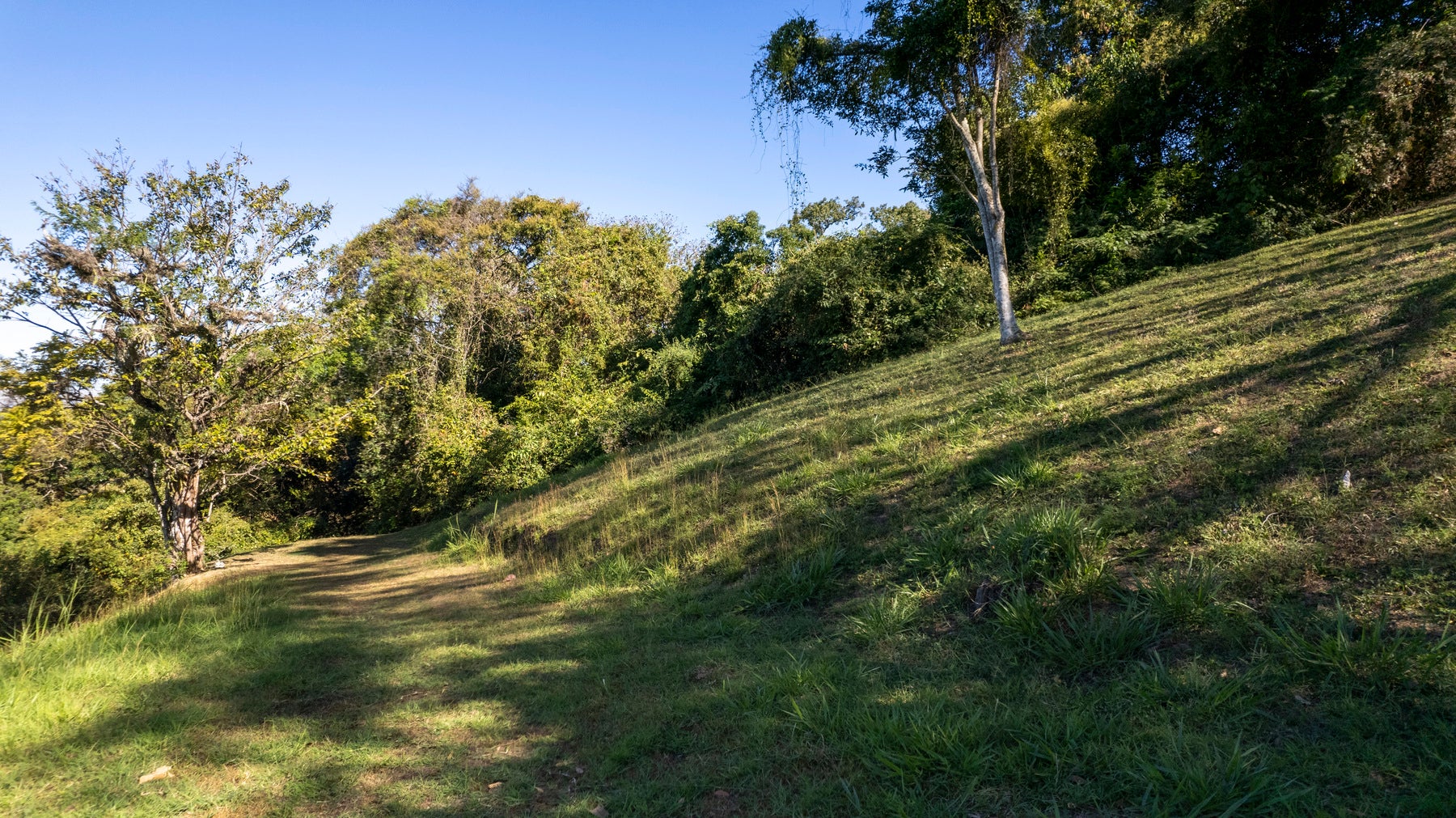Stunning lot with views, #lot 14 — photo 10 of 18