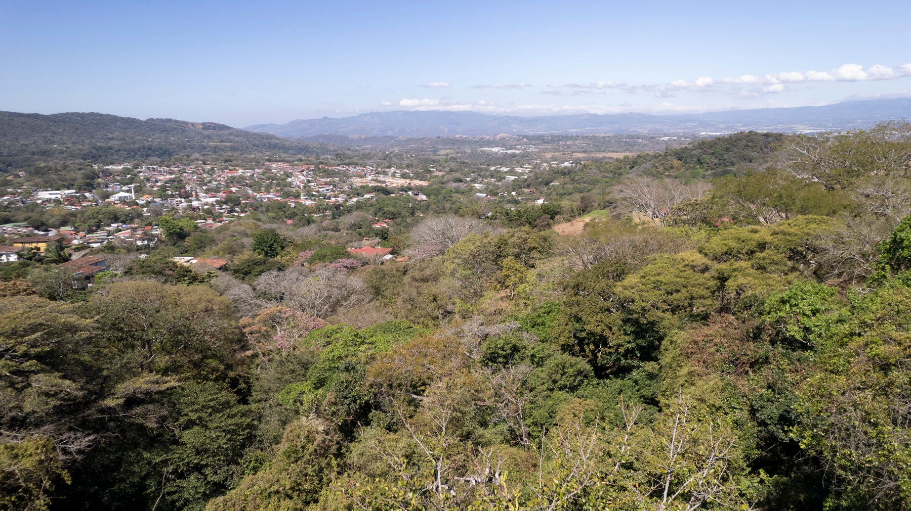 Stunning lot with views, #lot 14 — photo 8 of 18