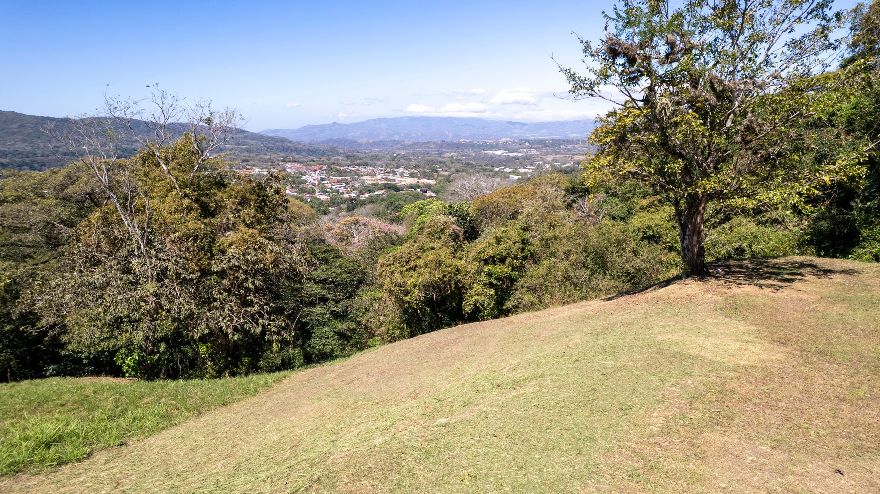 Stunning lot with views, #lot 14 — photo 11 of 18