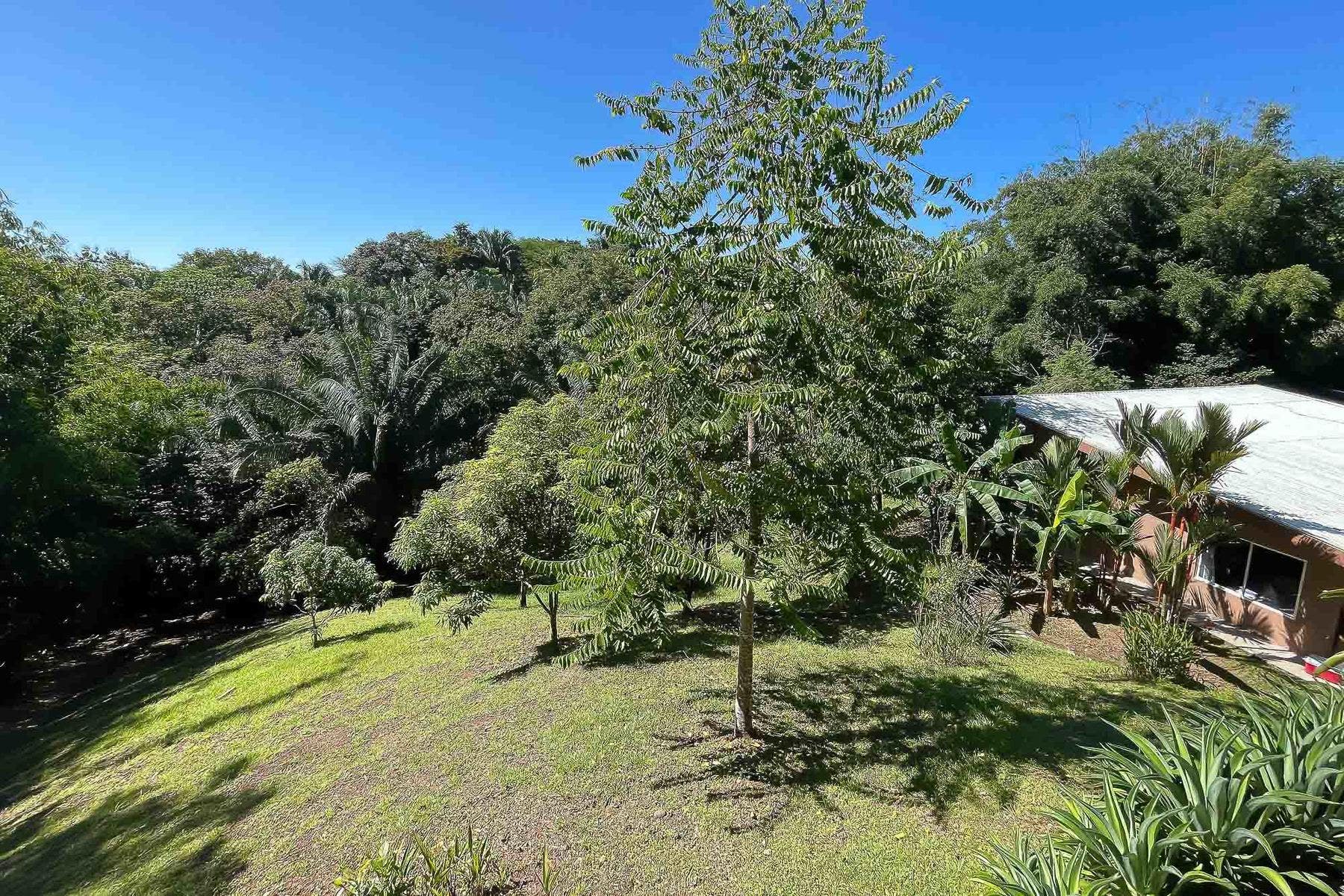 Residential Property Near Ocean — photo 12 of 19