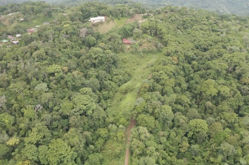 Forested Land in Southern Zone, Platanillo, Dominical, Baru, Osa, Puntarenas, Costa Rica 11909