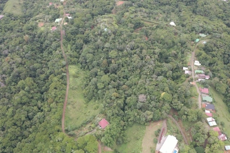 Forested Land in Southern Zone — photo 10 of 19