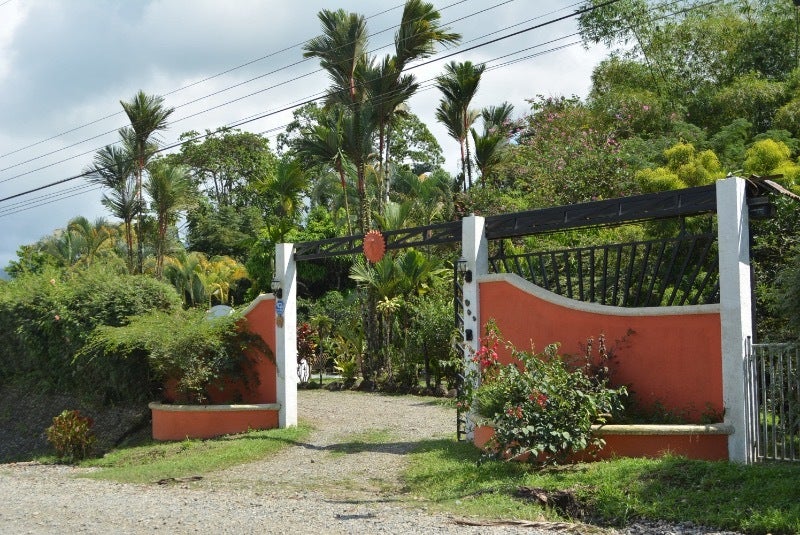 Jungle View House — photo 2 of 12