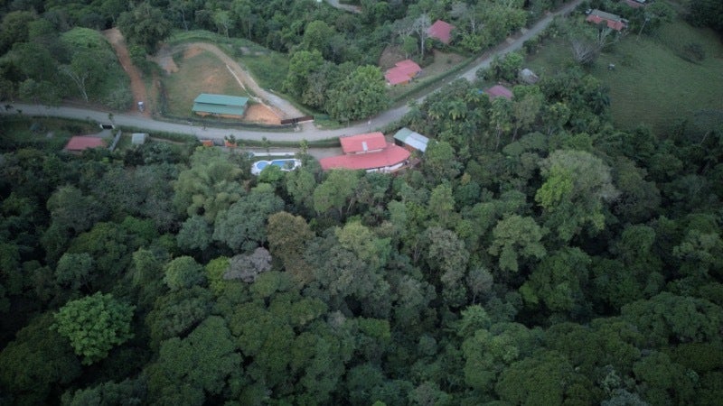 Jungle View House — photo 4 of 12