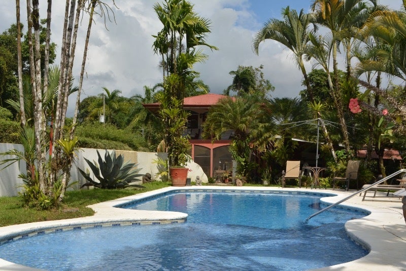 Jungle View House — photo 5 of 12