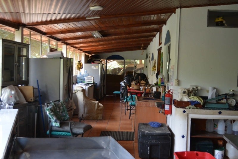 Jungle View House — photo 6 of 12