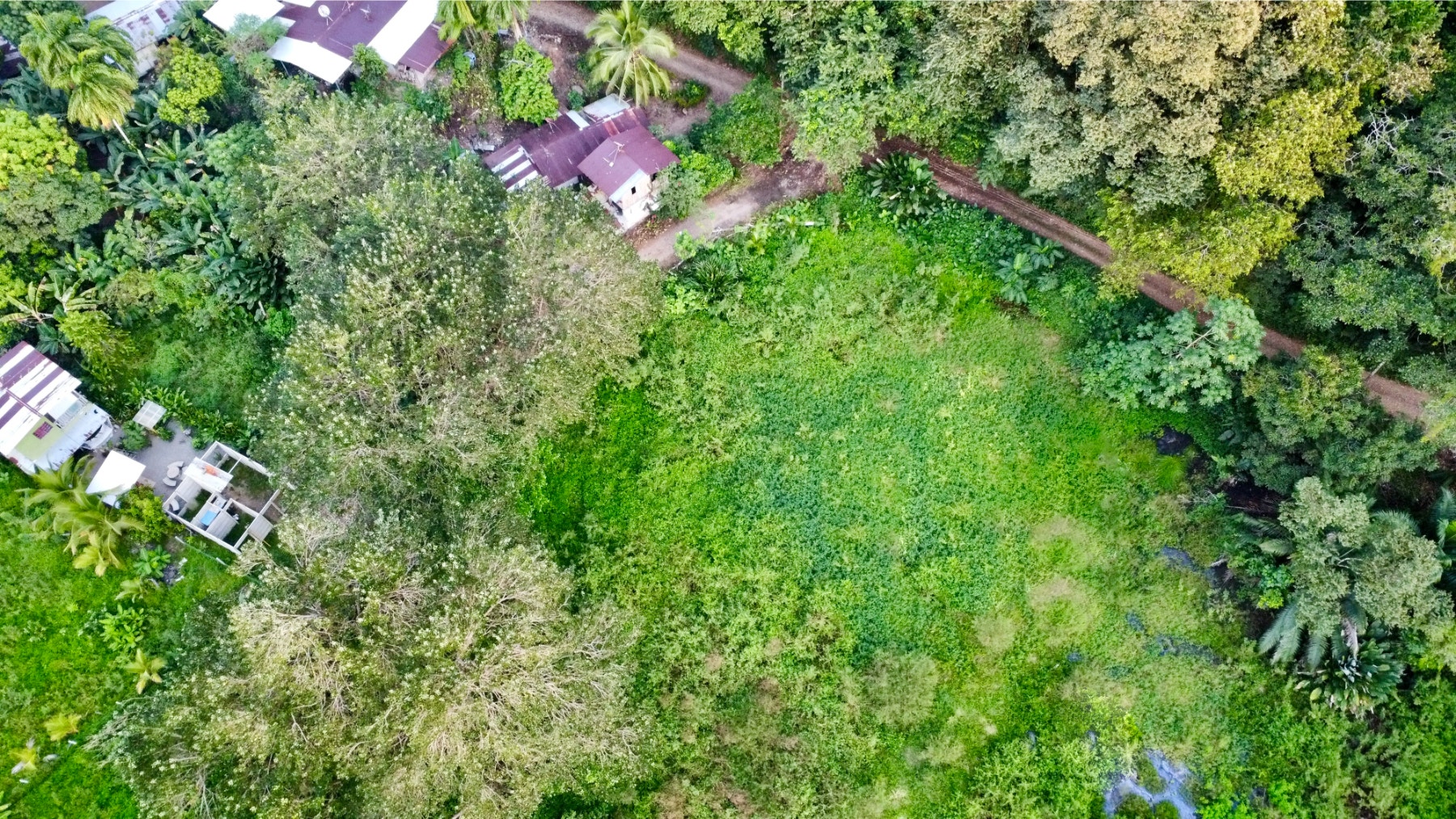 Beachside Parcel in Uvita — photo 4 of 15
